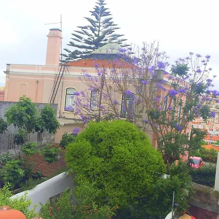 Lavra Tram Апартаменти