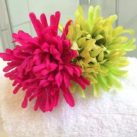 Lejlighed Lavra Tram