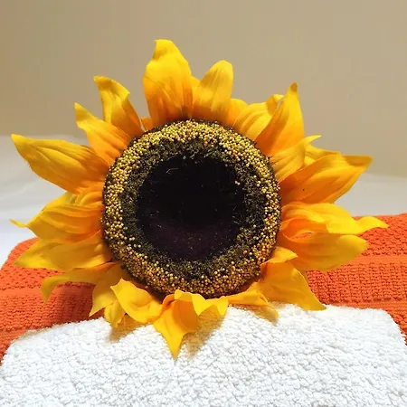 아파트 Lavra Tram 리스본