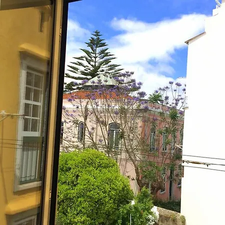 아파트 Lavra Tram